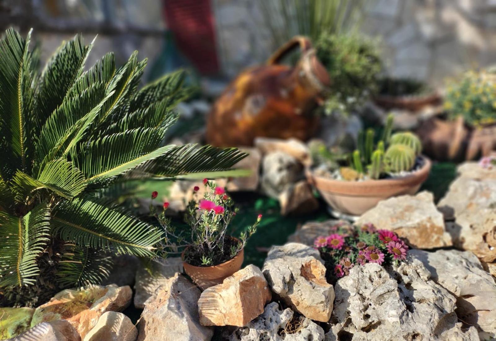 Hotel Il Giardino Delle Fate La Correggia Exteriér fotografie